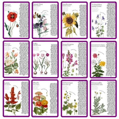 HUGE Homeschool Flower Notebooking Pack 322 Pages Flower Garden Unit Study Worksheets Curriculum Nature Journal Flashcard Coloring Page