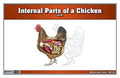 Internal Parts of a Chicken Puzzle with Nomenclature Cards (6-9) (Printed) | Montessori Materials | Montessori Zoology | Three Part Cards