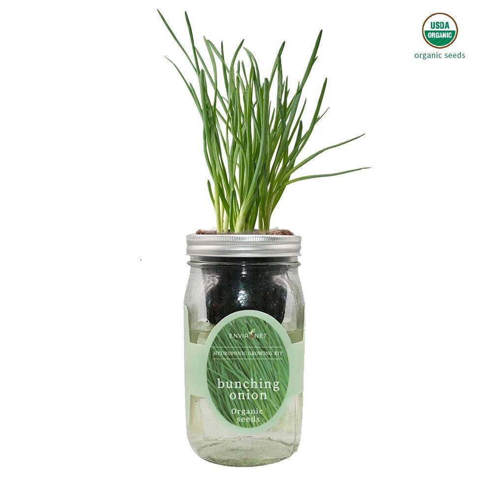 Sweetie Cherry Tomato Mason Jar Hydroponic Herb Kit with Organic Seeds, Gardening Gift