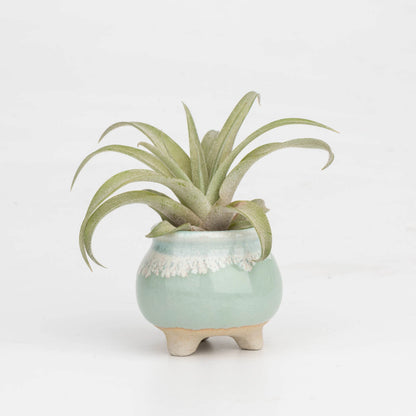 Mini size ceramic planter set, air plant pot, baby lithops pot, cactus pot, succulent pot, minimalist pot, thick pot, indoor planting pot