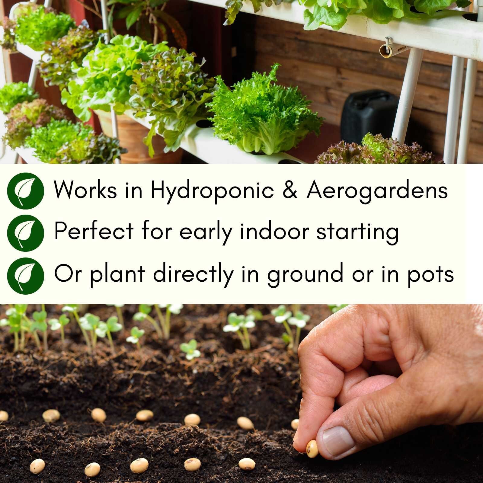 Picklers, Canners & Salsa Grow Kit | 500 Seeds, 20 Varieties + 60 Organic EcoPaper Seed Pots | Non-GMO, Resealable Bags, Peat-Alternative