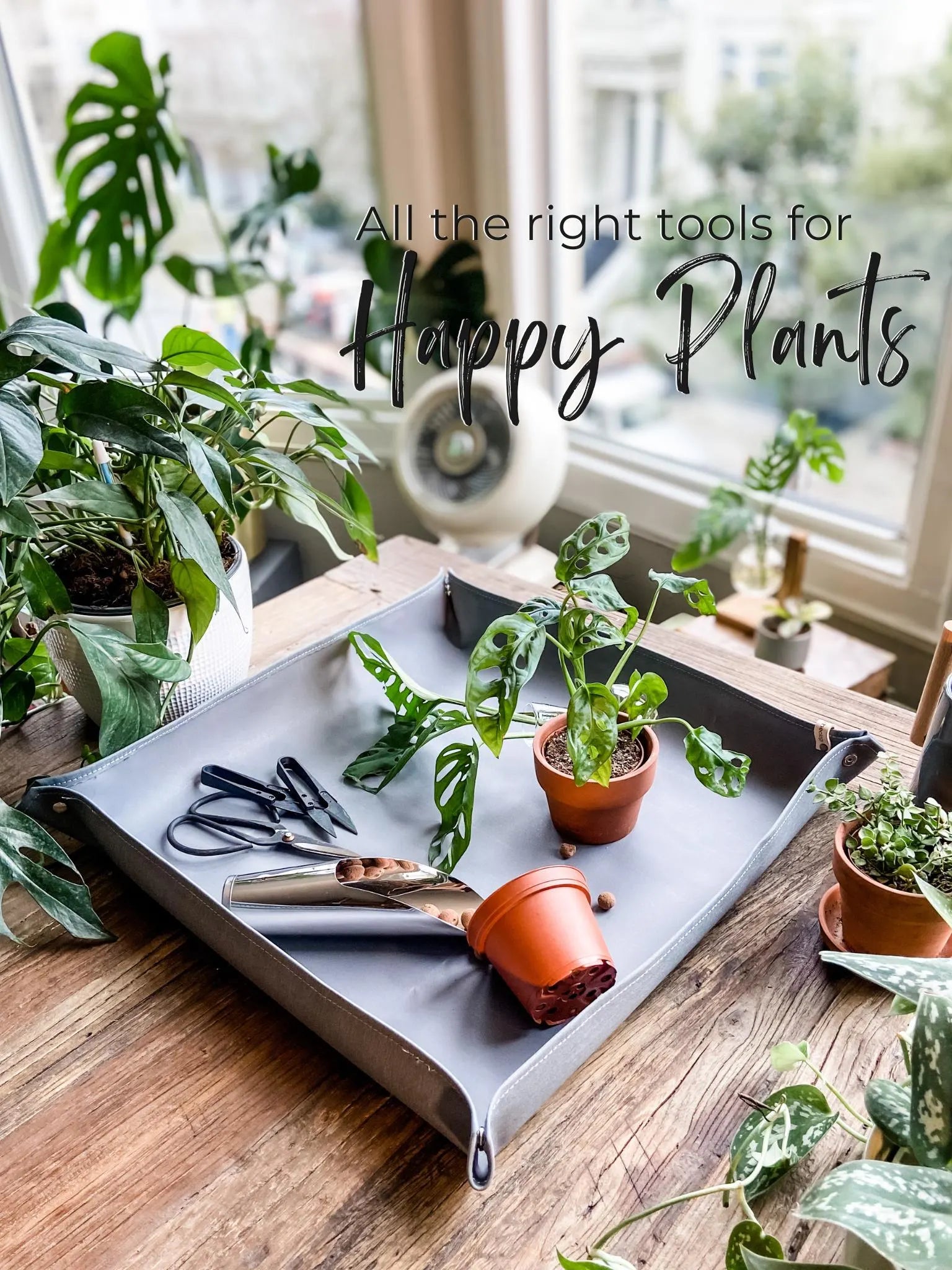Soil Scoops for Easy Planting & Gardening | Houseplant tools and accessories | Easy clean up for repotting plants, seeds, potting soil