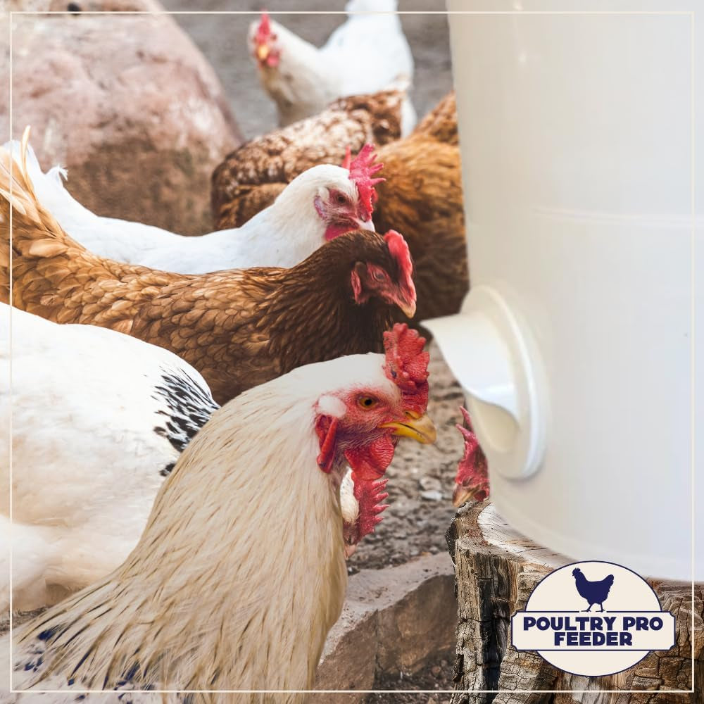 The Original Poultry Pro DIY Chicken Feeder | 3 Ports Poultry Feeders for Chicken Coop | Use for Buckets & Bins | Rain Proof, Weather Resistant - Original Feeder 3-Pack with Hole Saw