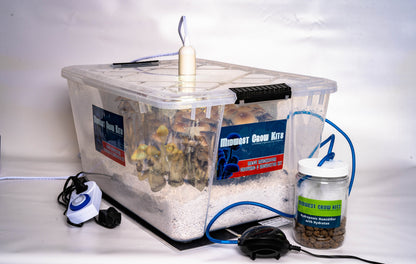 Mega Mushroom Growing & Incubator Kit  | Fully Automated  |  18 Sterilized Jars