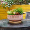 8 Inch Terracotta Succulent Planter Pot with Drainage Hole and Bamboo Tray, Round Shallow Bonsai Pot for Indoor Plants