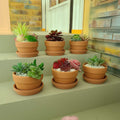 4.4 Inch Shallow Terracotta pots with Saucer/Tray,Ceramic Clay Cactus/succlent Container with Drain Hole,Small unglazed Planter for Indoor/Outdoor Plants, Crafts