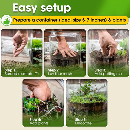 Recycle Terrarium Kit, Include Terrarium Potting Soil, Pumice, Zeolite, Green Moss, Sphagnum Moss, Decorative Stone, Mesh, Tools, DIY Terrarium Starter Kit for Kids, Air Plant, Succulent