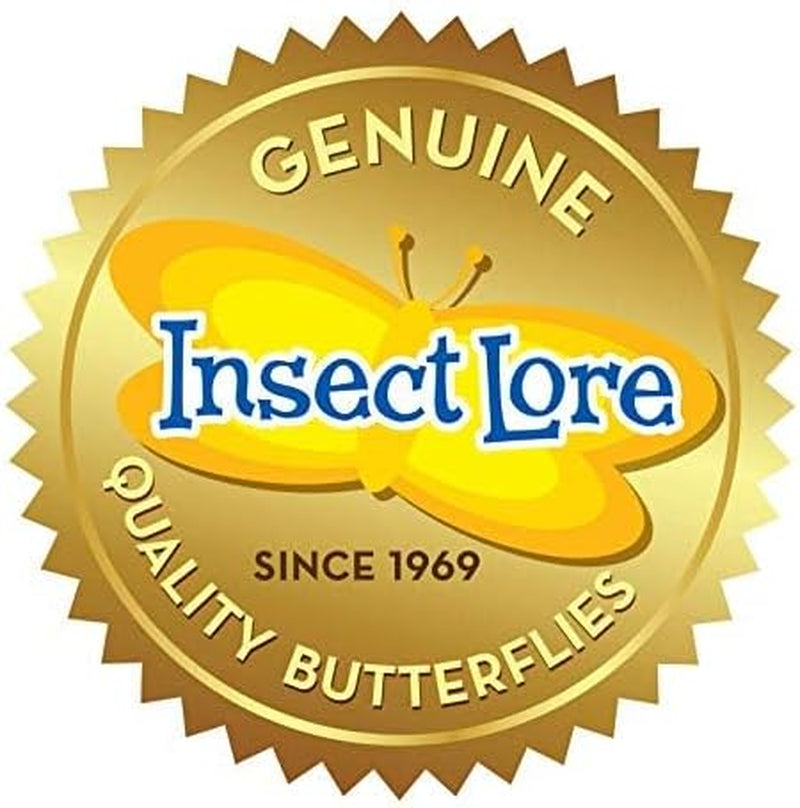 Butterfly Garden Home School Kit | Live Cup of Caterpillars | Ultra-Clear Observation Dome | Fold-Out Life Cycle Panel | STEM Butterfly Journal | Raise Painted Lady Butterflies