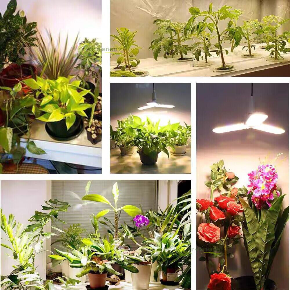 48"x48"x80" Complete Grow Tent Kit w/LED Full Spectrum Grow Light & Fan & Filter