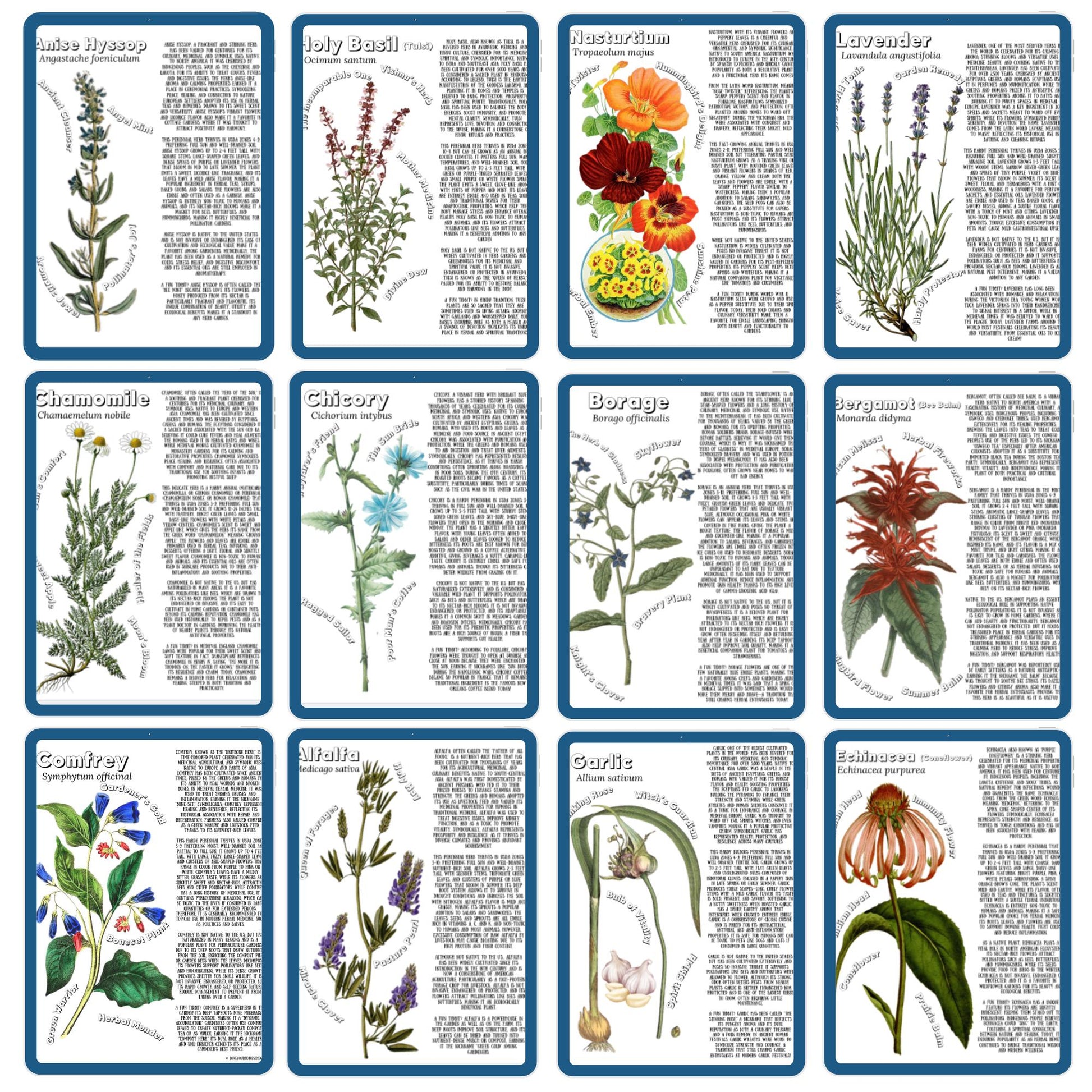 HUGE Homeschool Garden Herbs Notebooking Journal 266 Pages Homeschool Nature Botany Mini Unit Study Coloring Pages Flashcards Curriculum