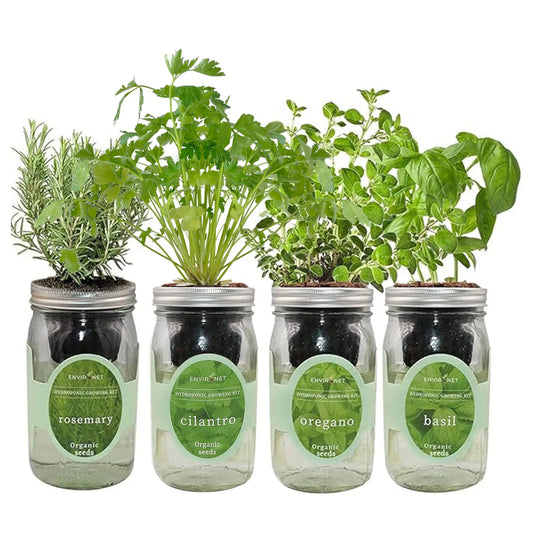 Mediterranean Herb Mix Garden Bundle- Mason Jar Hydroponic Kit Set with Organic Seeds (Rosemary, Cilantro, Oregano, Basil)