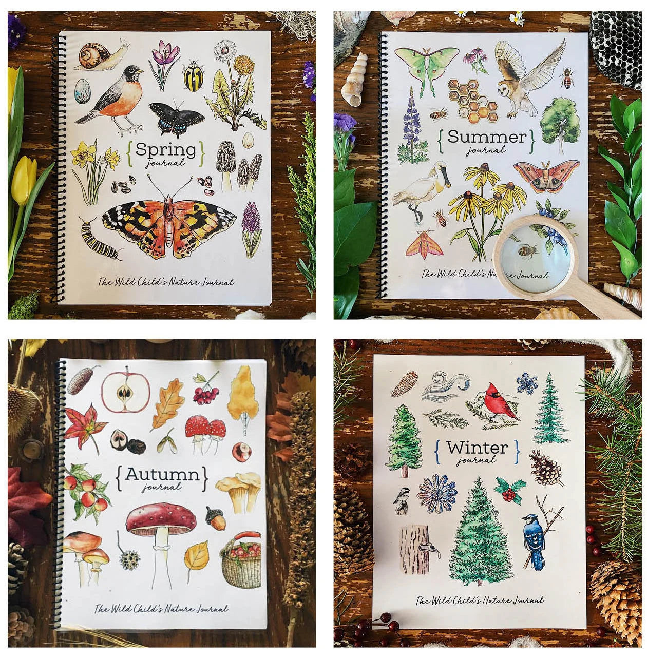 The Seasons – A Year of Nature Journaling - Charlotte Mason Homeschool Nature Printable