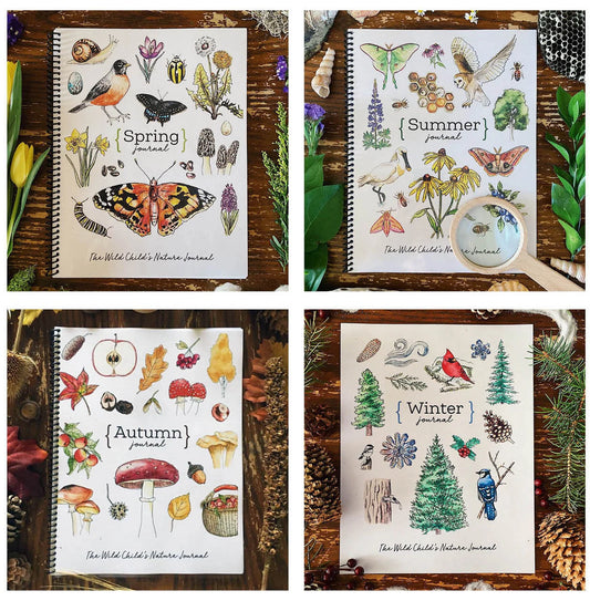The Seasons – A Year of Nature Journaling - Charlotte Mason Homeschool Nature Printable