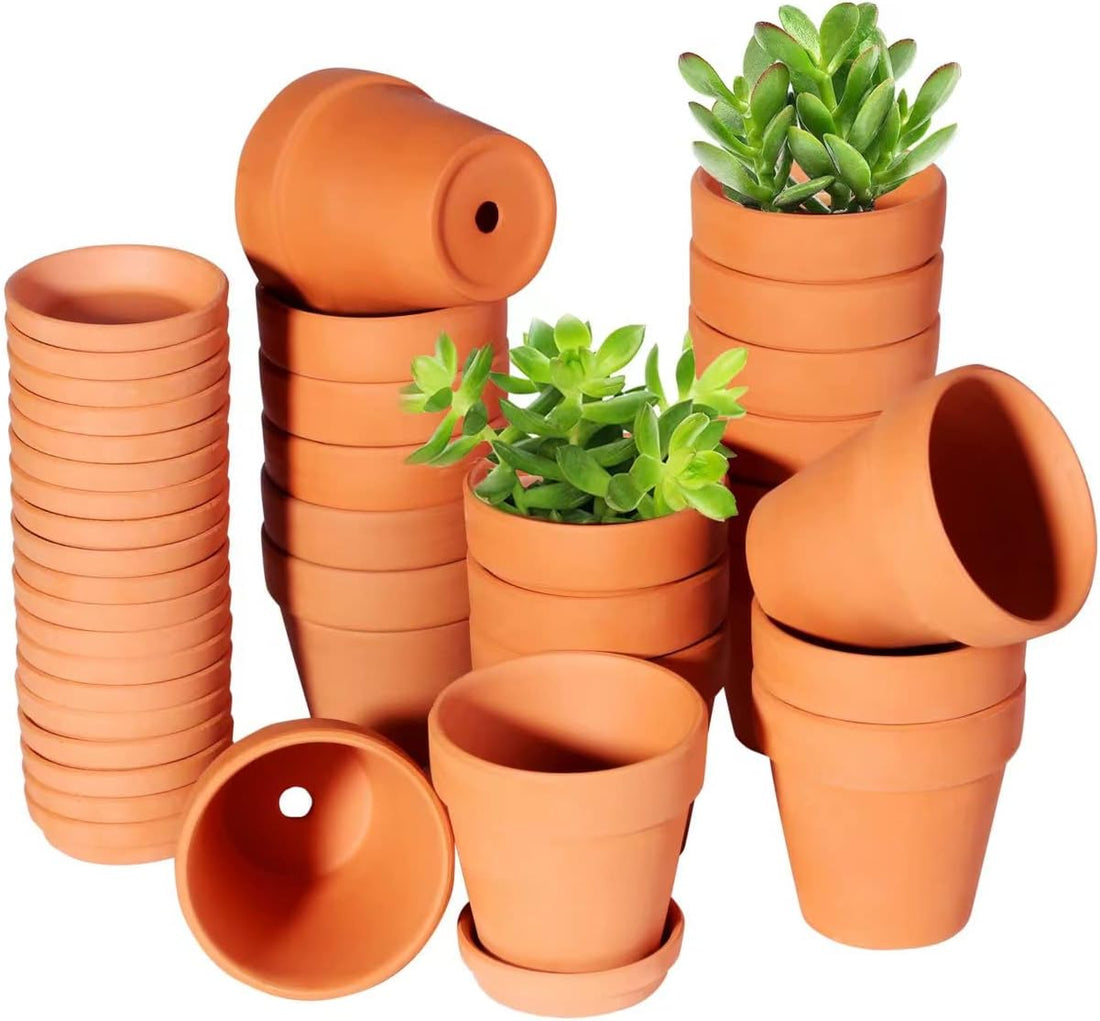 3 Inch Terracotta Pots with Saucer-20 Pack，Cactus Terra Cotta Flower Pot with Drainage，Succulent Nursery Clay Pots Great for Plants,DIY Crafts, Wedding Favor