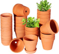 3 Inch Terracotta Pots with Saucer-20 Pack，Cactus Terra Cotta Flower Pot with Drainage，Succulent Nursery Clay Pots Great for Plants,DIY Crafts, Wedding Favor
