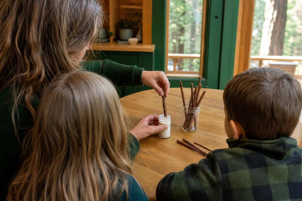 A parent and two children at a cabin table dipping a bare, leafless redwood tree cutting into rooting powder