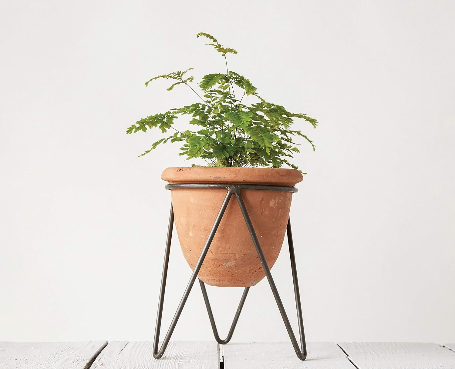 Terracotta Pot with Metal Stand
