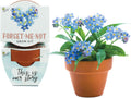 Seeds Forget-Me-Not Terracotta Mini Grow Pots Love Collection, 12-Pack All-in-One Gardening Kit for Wedding Favors, Baby Shower Prizes, Birthday Gifts, or Party Favors