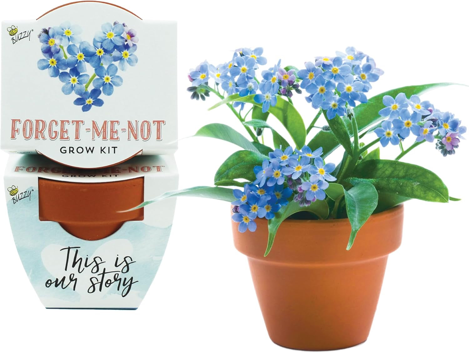 Seeds Forget-Me-Not Terracotta Mini Grow Pots Love Collection, 12-Pack All-in-One Gardening Kit for Wedding Favors, Baby Shower Prizes, Birthday Gifts, or Party Favors