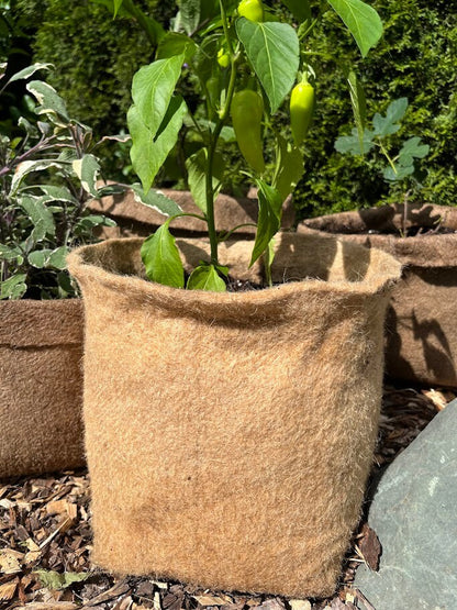 Hemp Material Pot Planter: Eco-Friendly Grow Bag