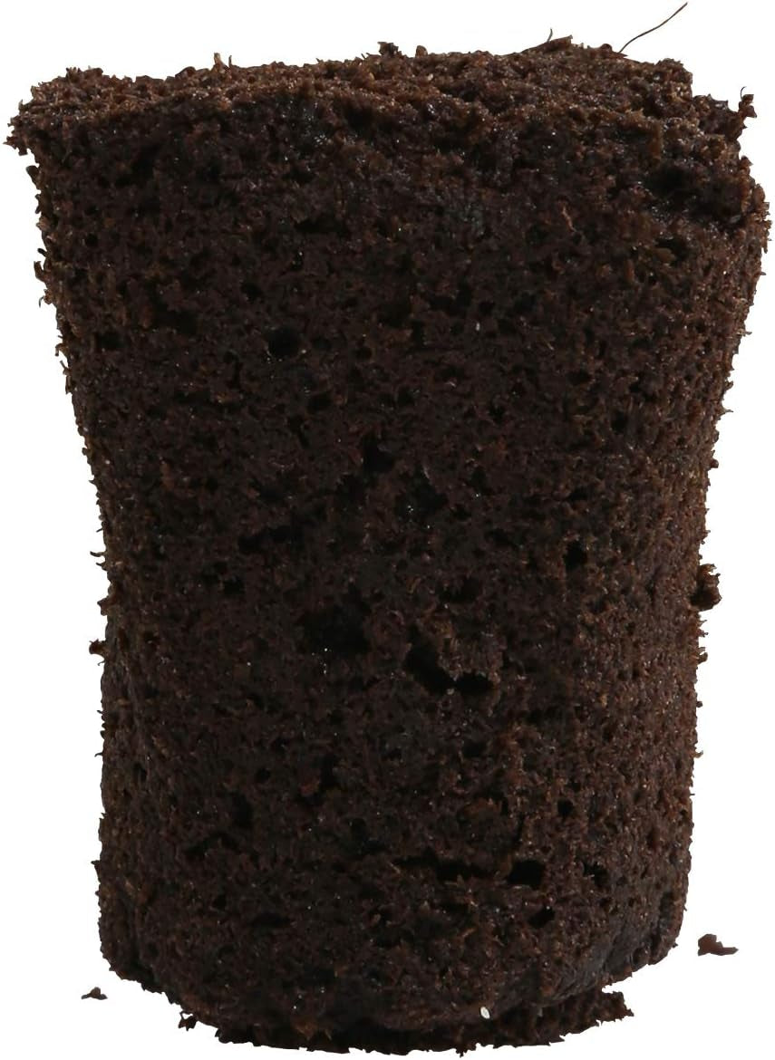 Rapid Rooter, Starter Plug for Seeds or Cuttings, Great for Soil or Hydroponics Growing System, 50 Plugs