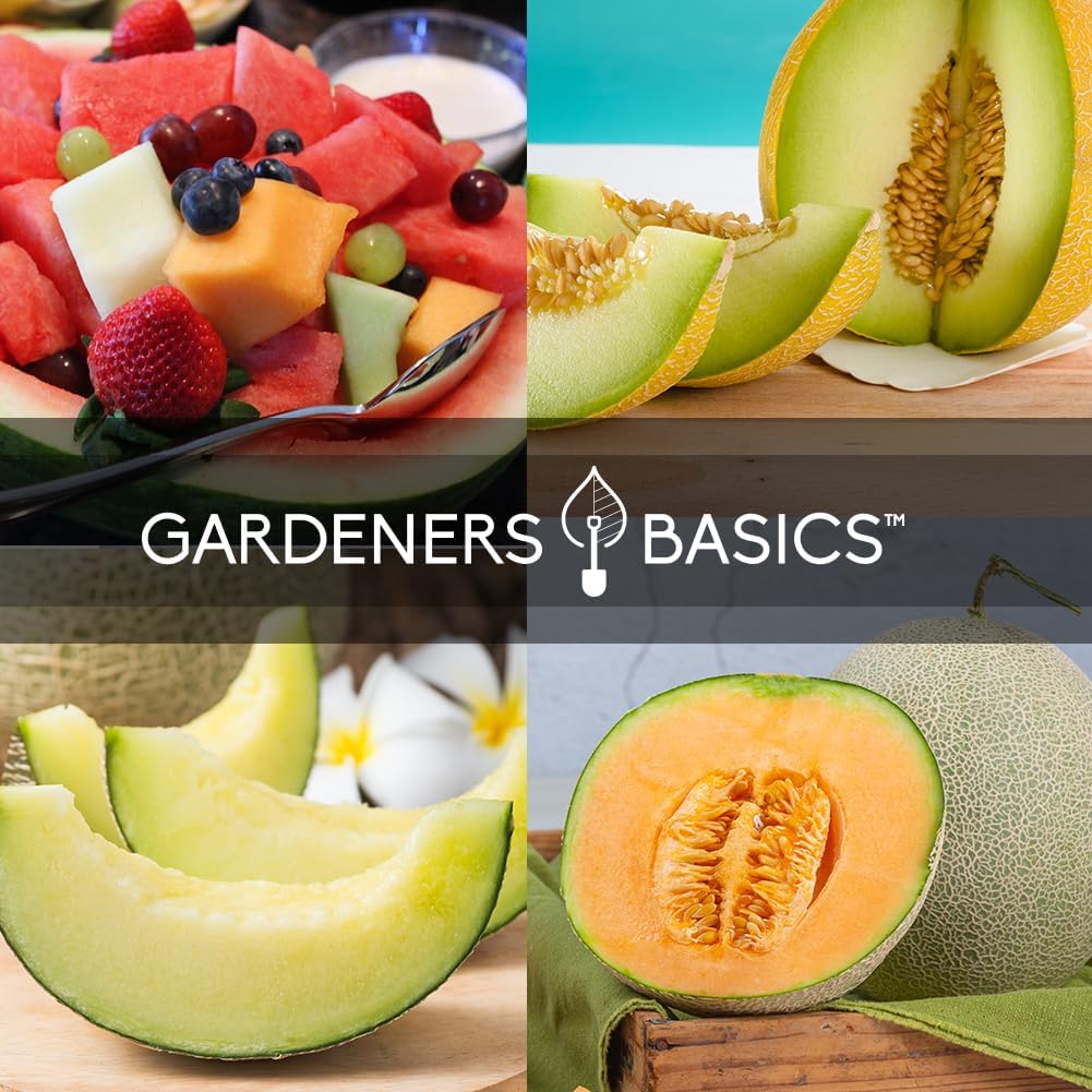 , Melon Fruit Seeds for Planting Home Garden 5 Variety Packs - Hales Best Cantaloupe, Crimson Sweet Watermelon, Yellow Canary Melon, Green Flesh Honeydew Melon, Sugar Baby Watermelon