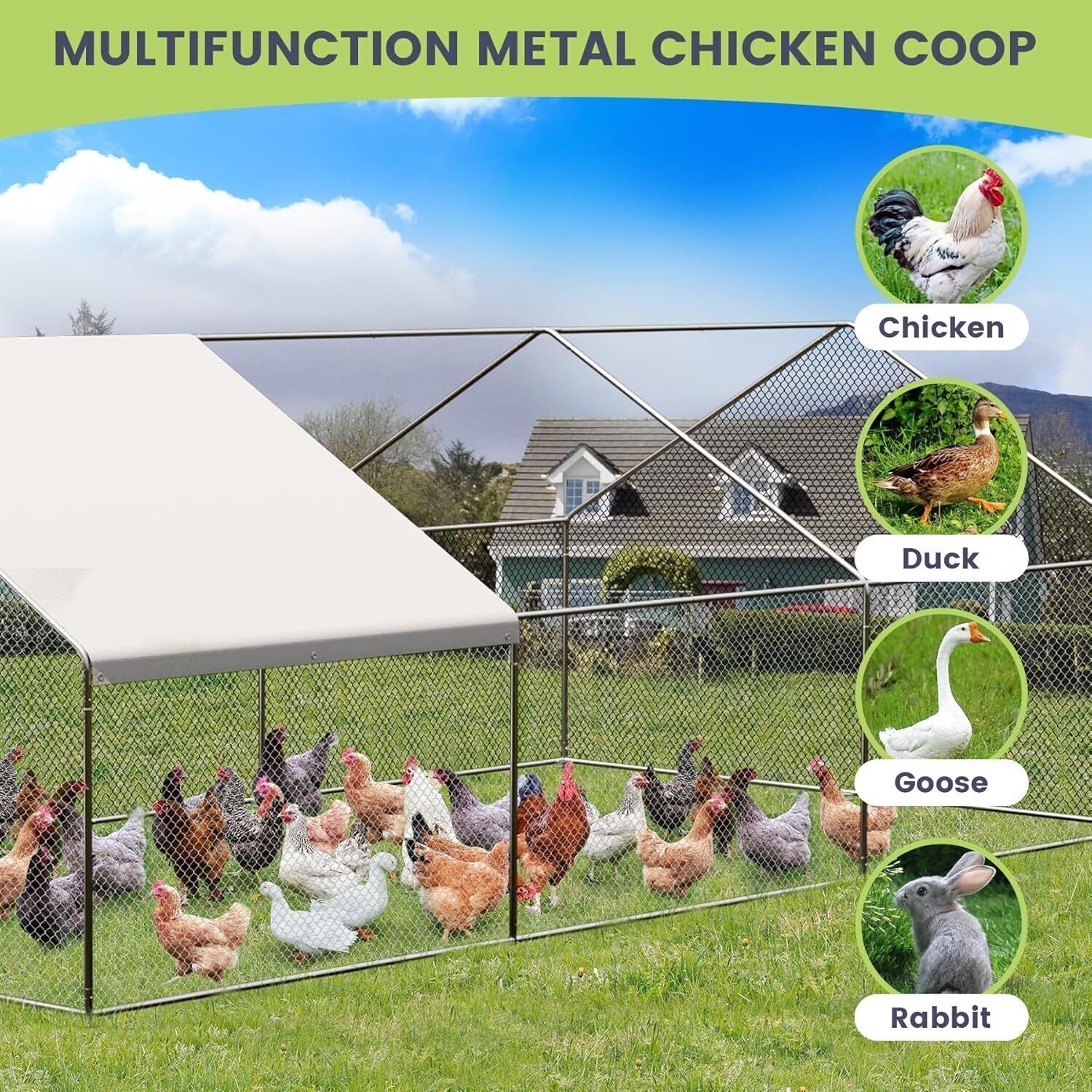 20FTx10FT Walk-in Chicken Coop Poultry Cage Hutches Pet House Chicken Run Cover