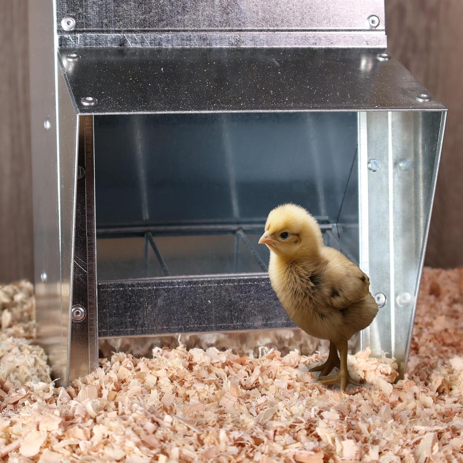 11.5lb Capacity Galvanized Chicken Feeder - Rat Proof Poultry Feeder with Lid Weatherproof Outdoor Coop Food Dispenser