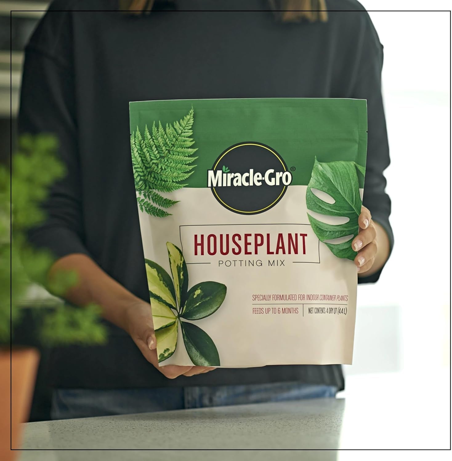 Houseplant Potting Mix: Fertilized, Perlite Soil for Indoor Gardening, Designed to Be Less Prone to Gnats, 4 qt.