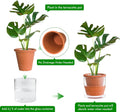 6 Inch Design Self Watering Pot for Indoor Plants, Terracotta Planter with Cylinder Glass Cup, Set of 2, 37-Y-B-1