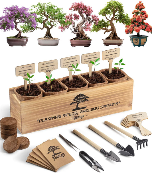 Bonsai Tree Kit – 5X Unique Japanese Bonzai Trees | Complete Indoor Starter Kit for Growing Bonsai Plants with Tools & Planters – Gardening Gifts for Women & Men