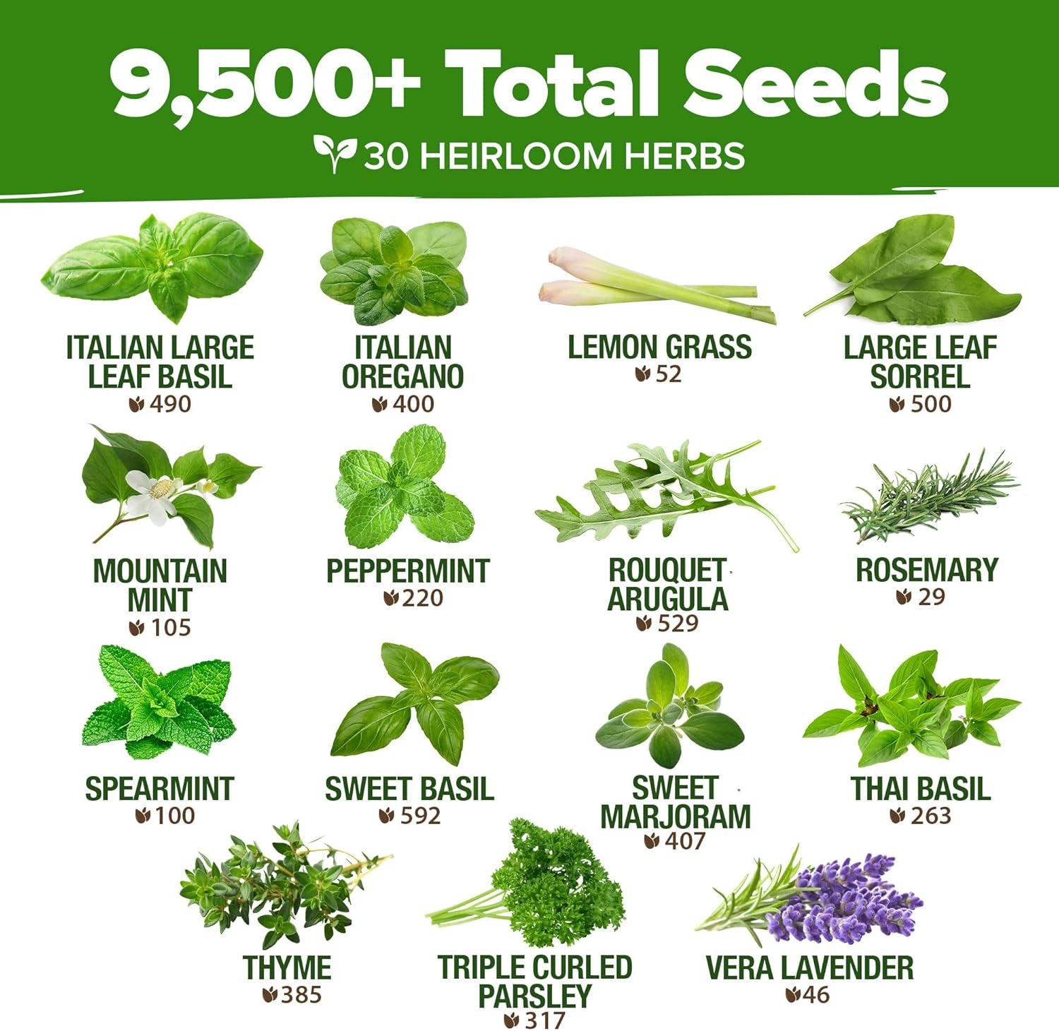 30 Herb Seeds Pack | 9,500 𝗡𝗢𝗡-𝗚𝗠𝗢 𝗨𝗦𝗔 Heirloom Seeds | Indoor & Outdoor Planting | Culinary Herb Variety Pack | HG30H Perfect for Hydroponic Gardens | Parsley, Rosemary,Thyme,More
