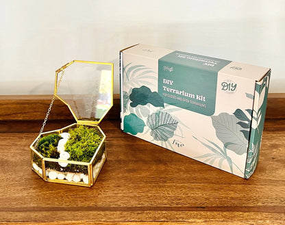 Fresh Moss Terrarium Kit: Golden Wardian Case, Live Plants (VIDEO INSTRUCTIONS)