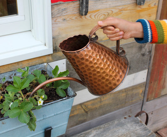 French Market Solid Copper Watering Can
