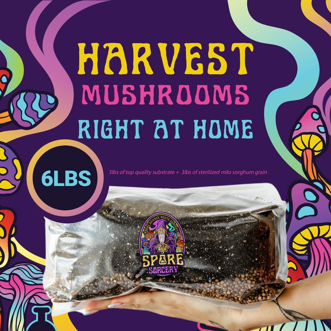 6lbs All-in-One Mushroom Grow Kit in a Bag | HUGE FLUSHES | Easy to Use