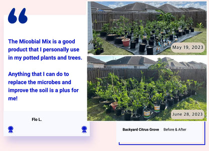 Plant Super Boost - The World's Only Live Microbial Concentrate - For Any Plant - Inoculate Your Soil And Boost Your Plants Roots