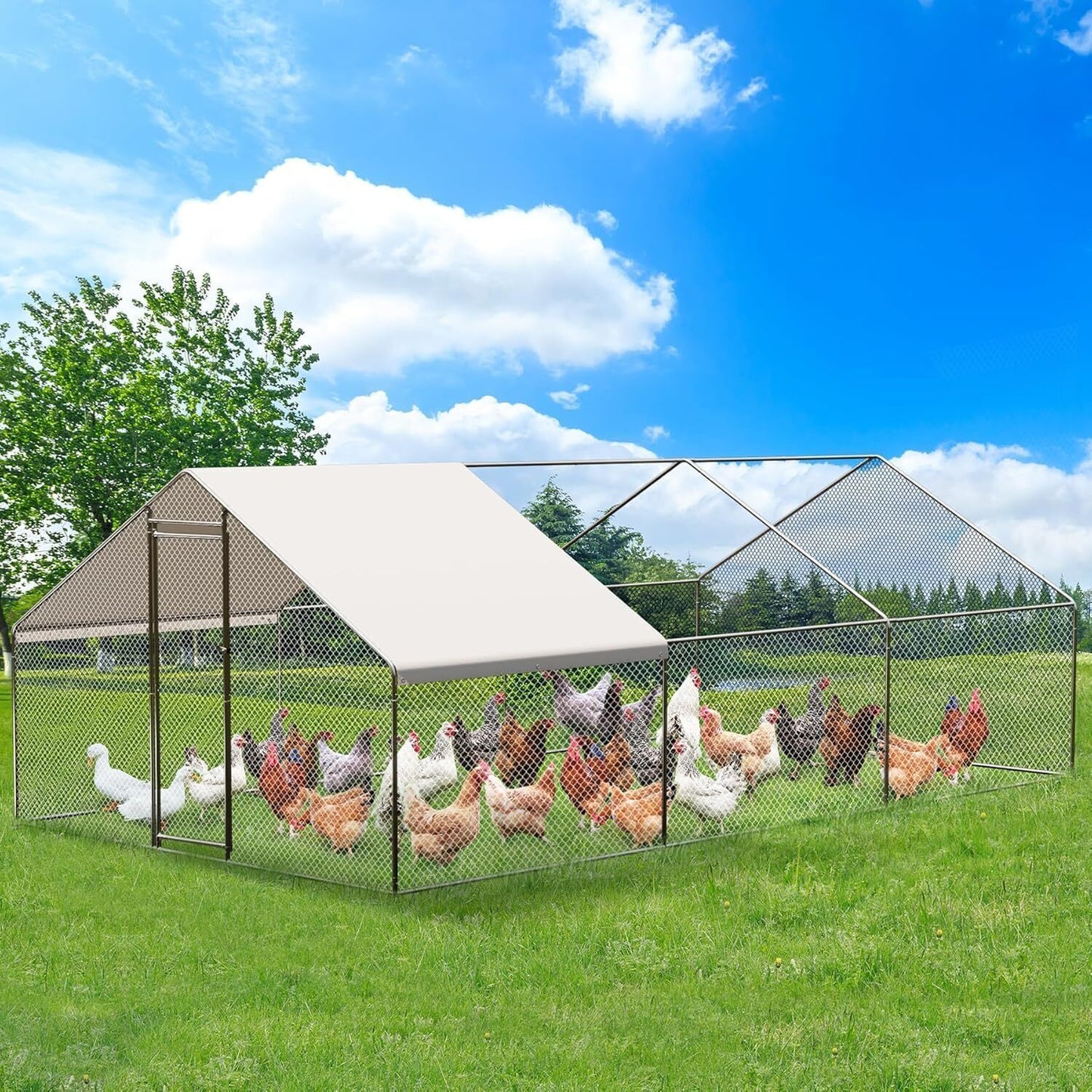 20FTx10FT Walk-in Chicken Coop Poultry Cage Hutches Pet House Chicken Run Cover