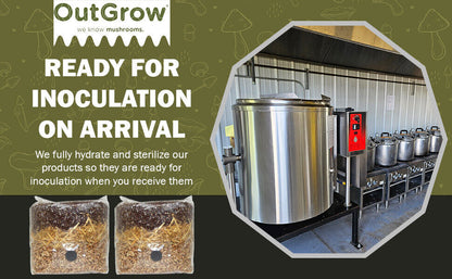 All in One Mushroom Grow Bag 2-Pack) | For Dung Loving Mushrooms | Ready To Use