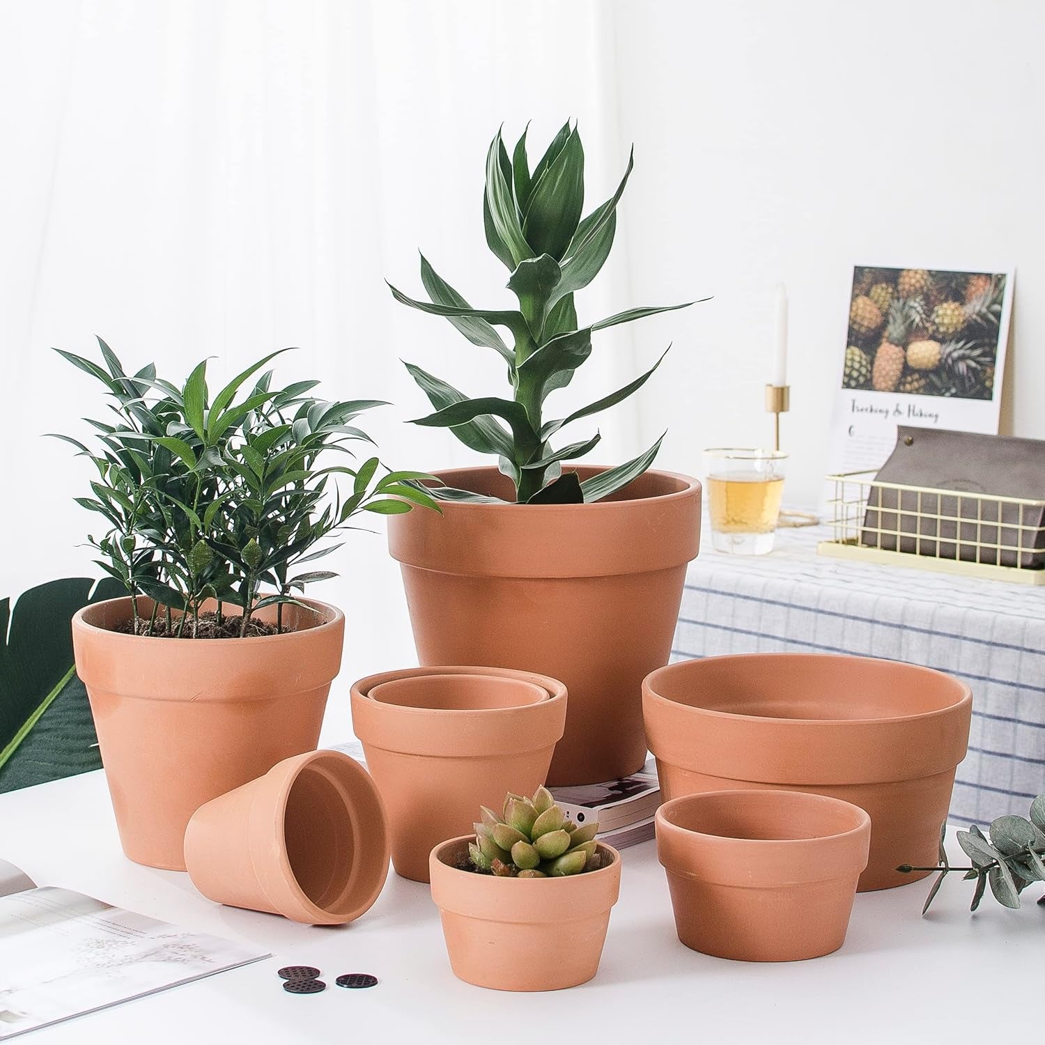 Clay Pot - 10 Pack Large Terra Cotta Plant Pot with Drainage Hole, Clay Planters Pot, Terracotta Pot for Indoor Outdoor Plant (5.5 inch)