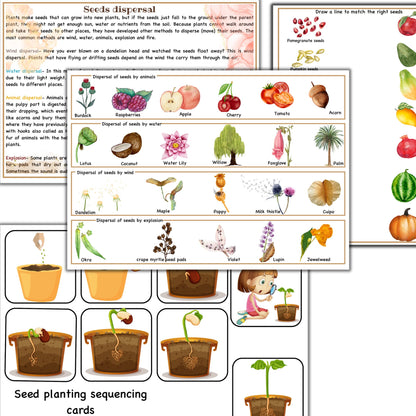 Garden unit study, Roots  anatomy, seed anatomy, soil layers, roots montessori 3 part cards, types of soil,germination activity, spring unit