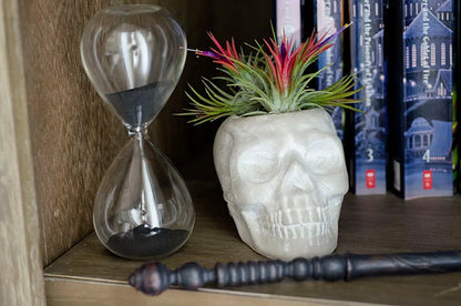 Sugar Skull Planter - Concrete |  Plant Pot, Indoor House Plant, Air Plants, Tillandsia, Succulent, Science Gothic Halloween Decor
