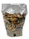 Myco Labs All in One Mushroom Grow Kit in a Bag (4 Lbs)
