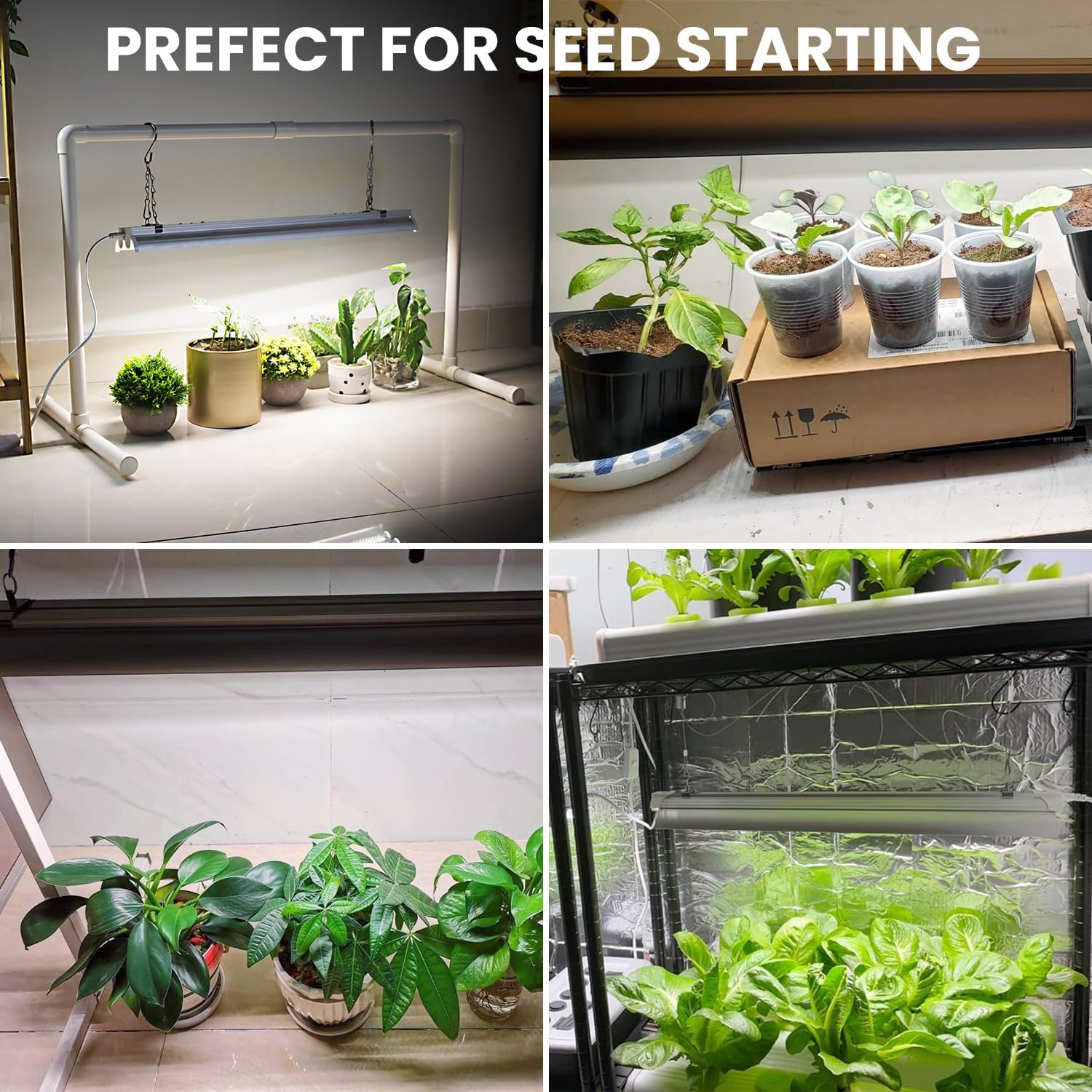 Grow Lights for Seed Starting with Stand, 2Ft T5 144 Leds Full Spectrum Seedling Grow Light for Indoor Plants, 32W High Output Seed Starter Light Kit, Height Adjustable, On-Off Switch