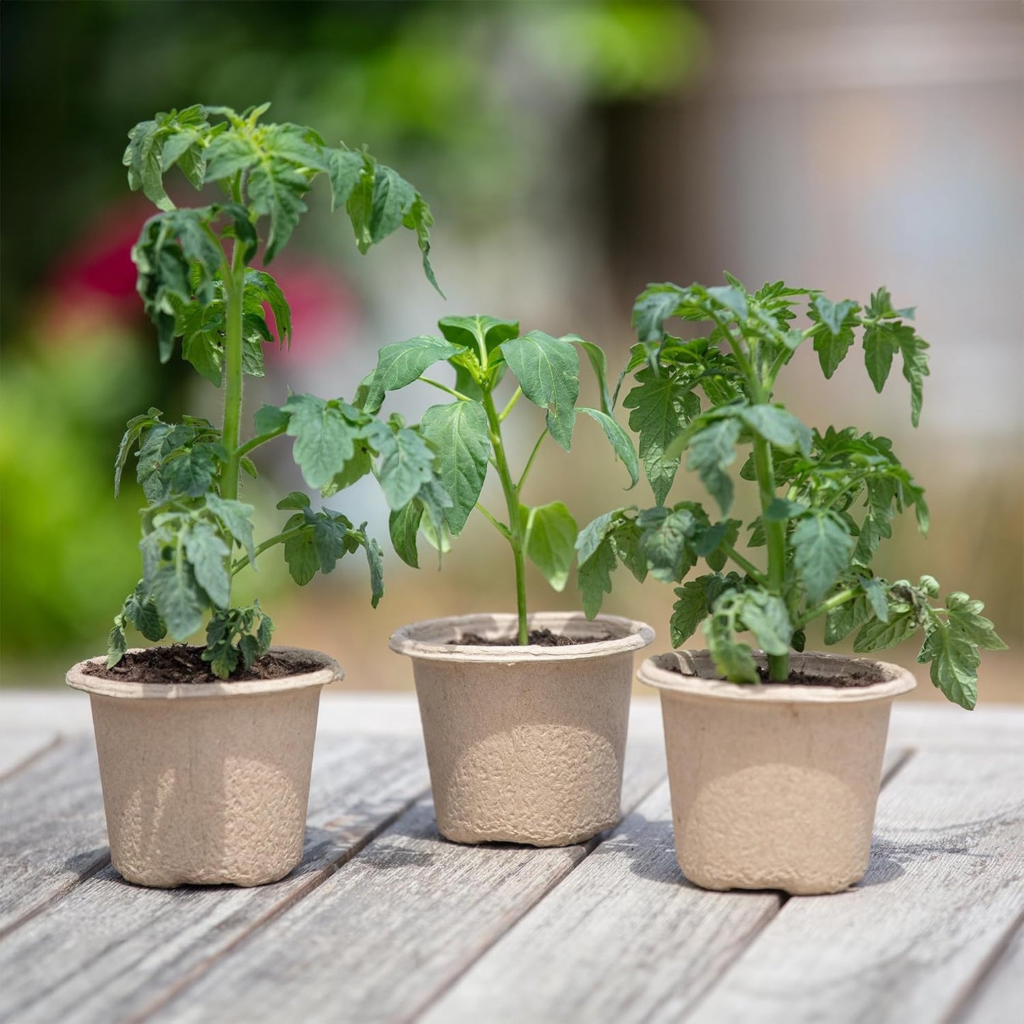 Organic & PLANTABLE 4.25" Wide Seed Starting POTS (8 CT)