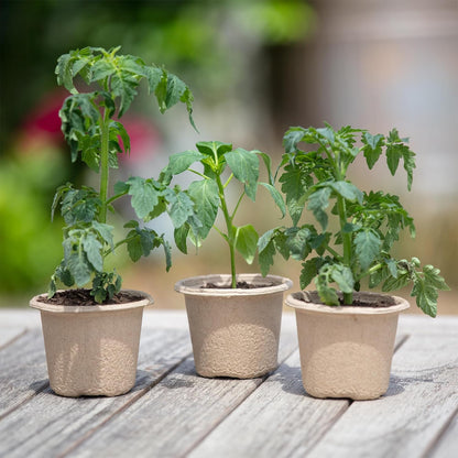 Organic & PLANTABLE 4.25" Wide Seed Starting POTS (8 CT)