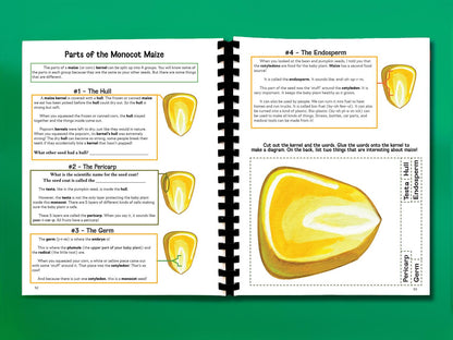 Botany Workbook for Homeschoolers - Grades 5–12 - Creative, Credit-Worthy Plant Science - Homeschool Middle School - Neurodivergent Friendly