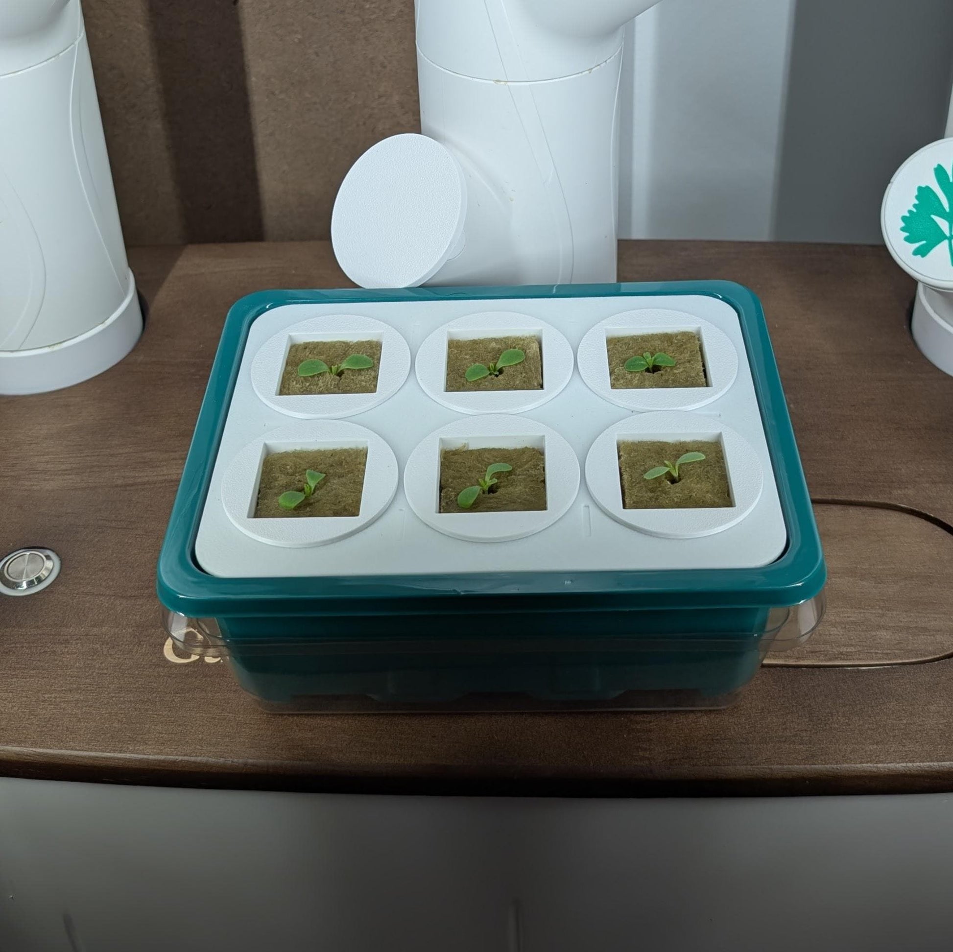 Compatible Gardyn - High-Efficiency Indoor Garden Nursery, works with yCubes and Grow Cubes