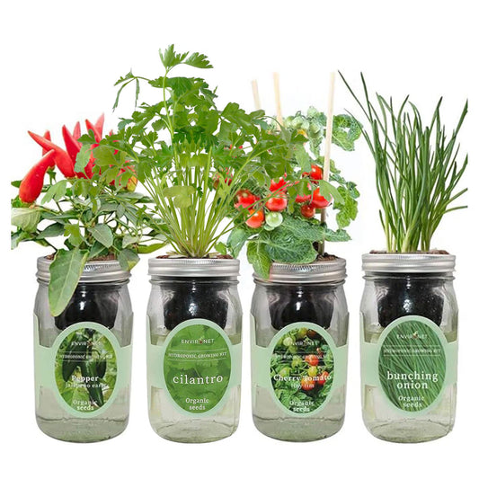 Zesty Salsa Garden Bundle- Mason Jar Hydroponic Kit Set with Organic Seeds(Jalapeno Pepper, Cilantro, Cherry Tomato-Tiny Tim,Bunching Onion)