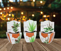 Seeds Terracotta Mini Grow Pots | Herb, Plant, Flower Starter Kit for Kids & Adults | Assorted 6-Pack, Radiant Collection | Guaranteed to Grow | Best Indoor Grow Your Own Plant Gardening Gift