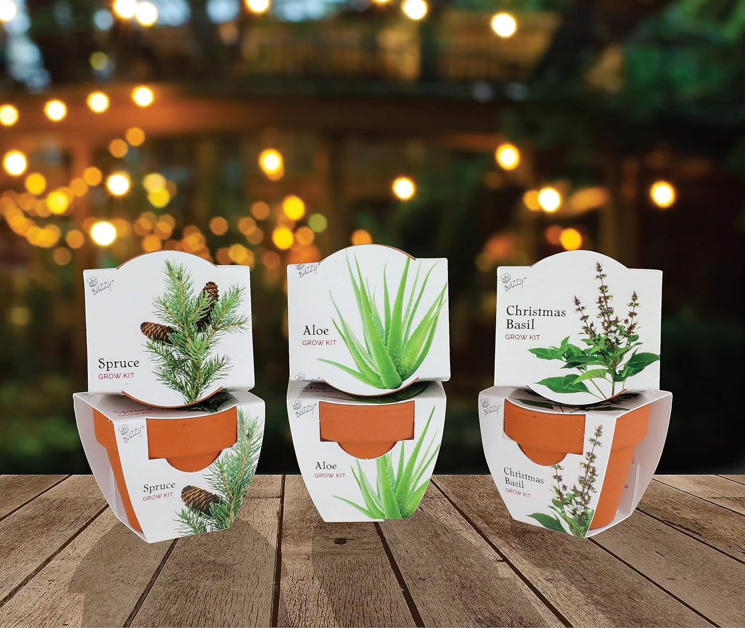 Seeds Terracotta Mini Grow Pots | Herb, Plant, Flower Starter Kit for Kids & Adults | Assorted 6-Pack, Radiant Collection | Guaranteed to Grow | Best Indoor Grow Your Own Plant Gardening Gift